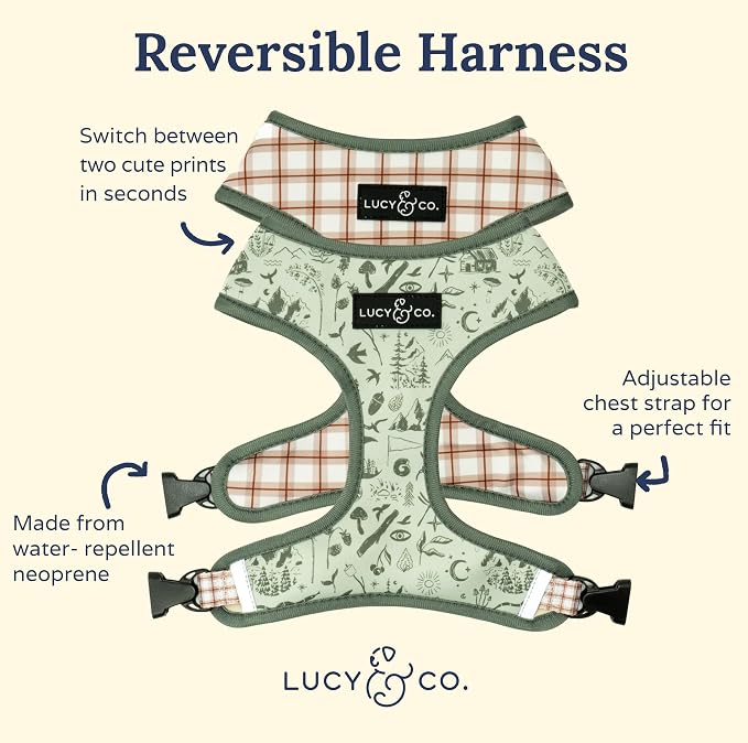 Lucy & Co. Cute Reversible Dog Harness Walking Halter - Image 5