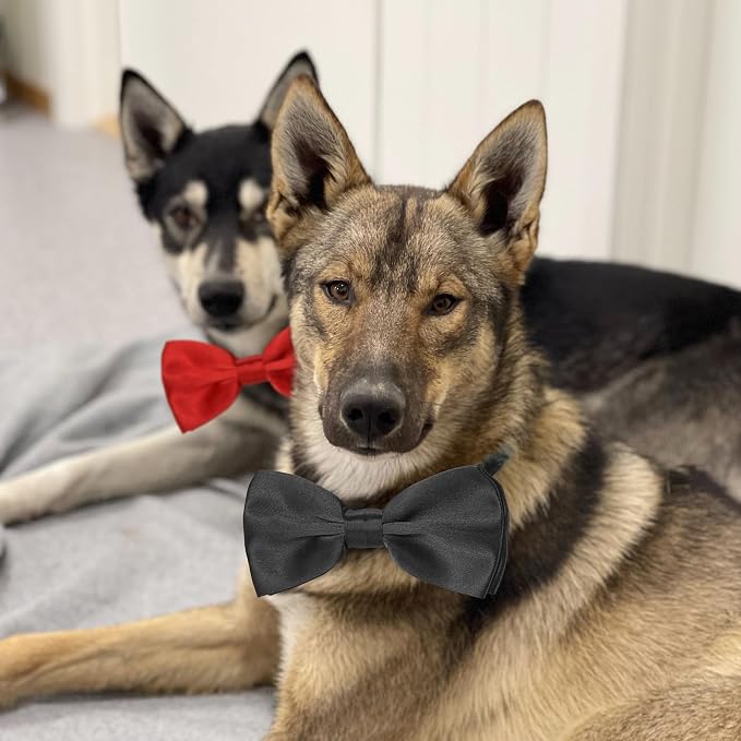 Black and Red Bow Tie for Dogs, KOOLMOX Red and Black Dog Bow - Image 6