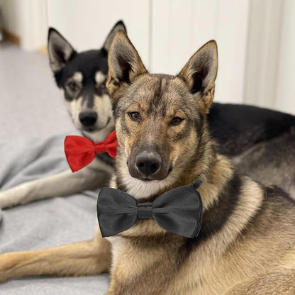 Black and Red Bow Tie for Dogs, KOOLMOX Red and Black Dog Bow - Image 6