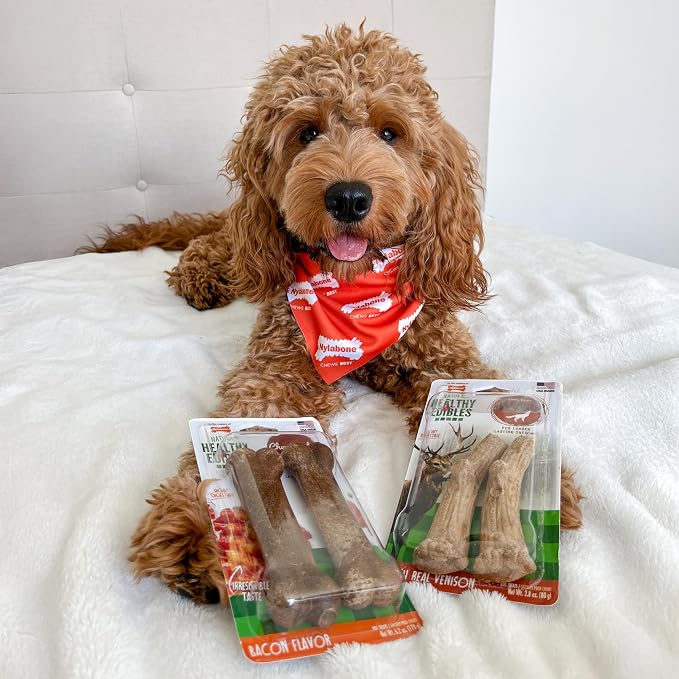 Nylabone Healthy Edibles WILD Natural Dog Chew Treats - Image 2