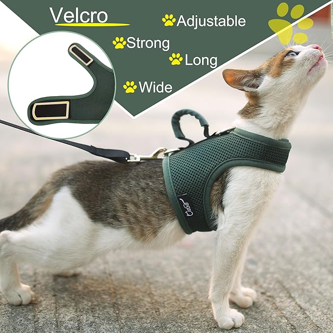Kitty Harness and Leash for Walking Escape Proof Breathable Mesh Fabric - Image 5