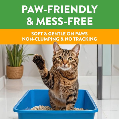 Feline Pine Platinum Non-Clumping Cat Litter, Feline Pine Cat Litter 18lb - Image 4