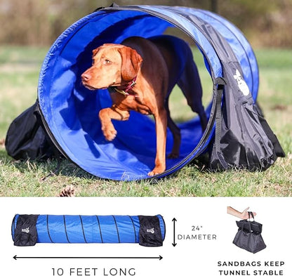 Better Sporting Dogs Premium Starter Dog Agility Set w/Safety-Focused Features - Image 5