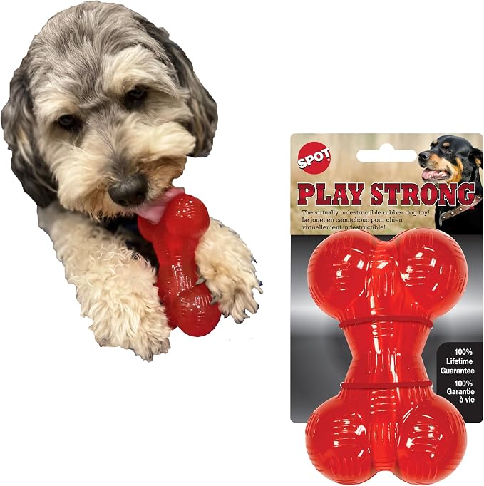 SPOT Play Strong Bone- Durable TPR Long Lasting Dog Chew by SPOT
