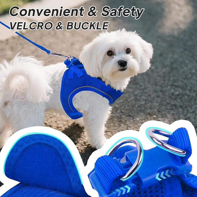 PetiFine Step in Small Dog Harness and Leash Set, Breathable All Weather Air - Image 3