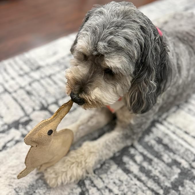 SPOT Dura-Fused Leather Rabbit Dog Toy – Durable Real Leather & Jute Chew Toy - Image 5