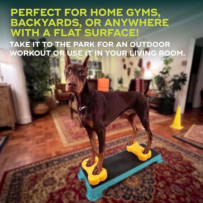 Mini K9fitbone Balance Training Platform - Image 4