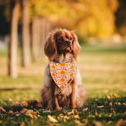 Fall Dog Bandanas - Image 4