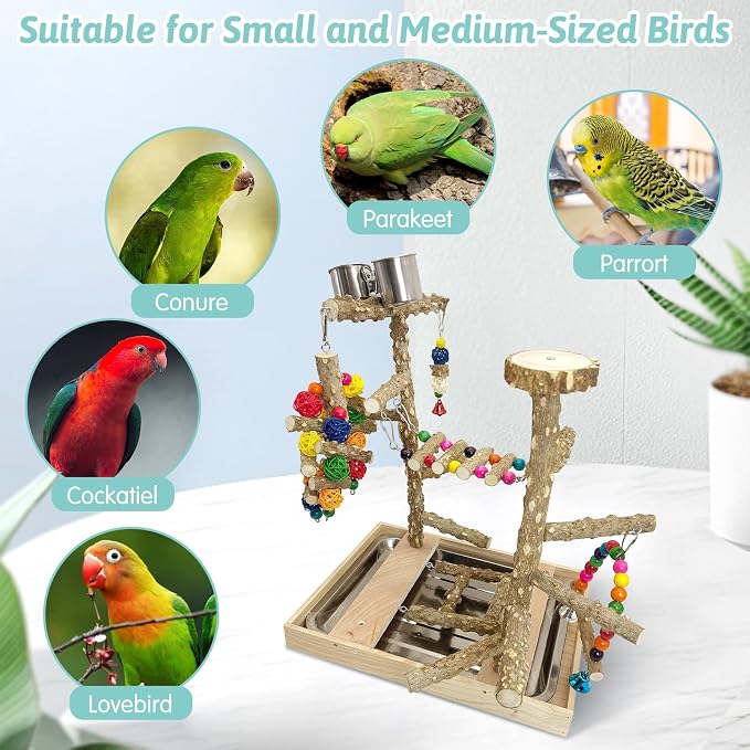PINVNBY Bird Playground Natural Wood Parrot Perch Stand Bird Play Gym Colorful - Image 4
