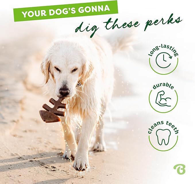 Benebone Fishbone Durable Dog Chew Toy - Image 3