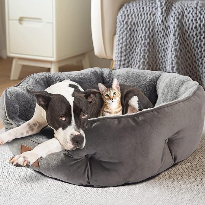 Asvin Large Dog Bed for Large Dogs, Cat Beds for Indoor Cats, Pet Bed for Puppy - Image 2