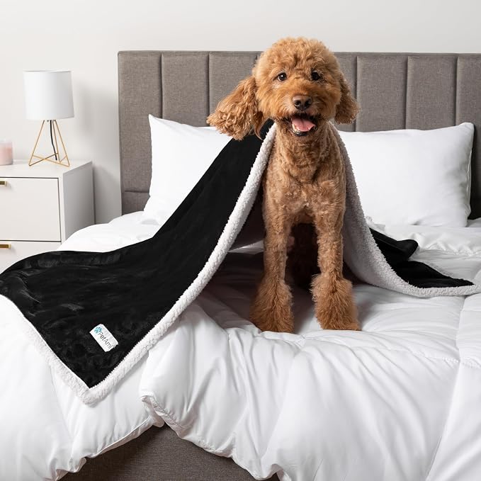 PetAmi Waterproof Dog Blanket for Medium Large Dog Puppy Cat Throw for Couch - Image 8