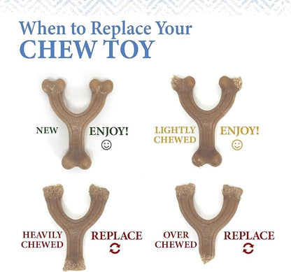 Nylabone Gourmet Style Femur Bone Strong Chew Toy - Image 11