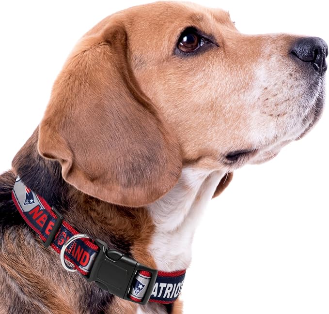 NFL PET Collar New England Patriots Dog Collar, Large Football Team Collar - Image 7