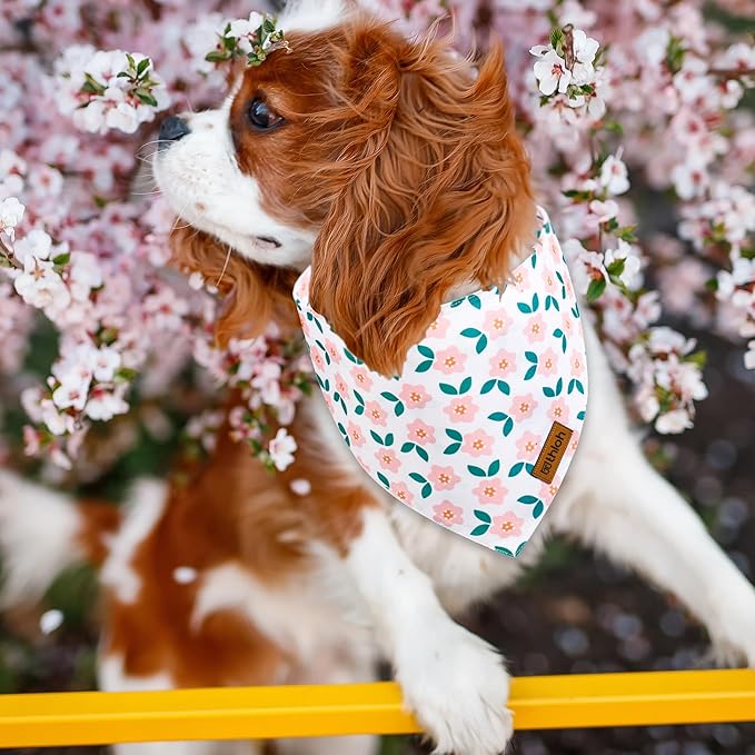 Spring Dog Bandanas with Snap Button, 2 Pack Floral Dog Scarf - Image 4