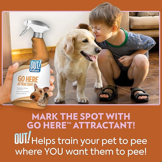OUT! PetCare Go Here Attractant Dog and Puppy Potty Training Spray, Safe & - Image 4