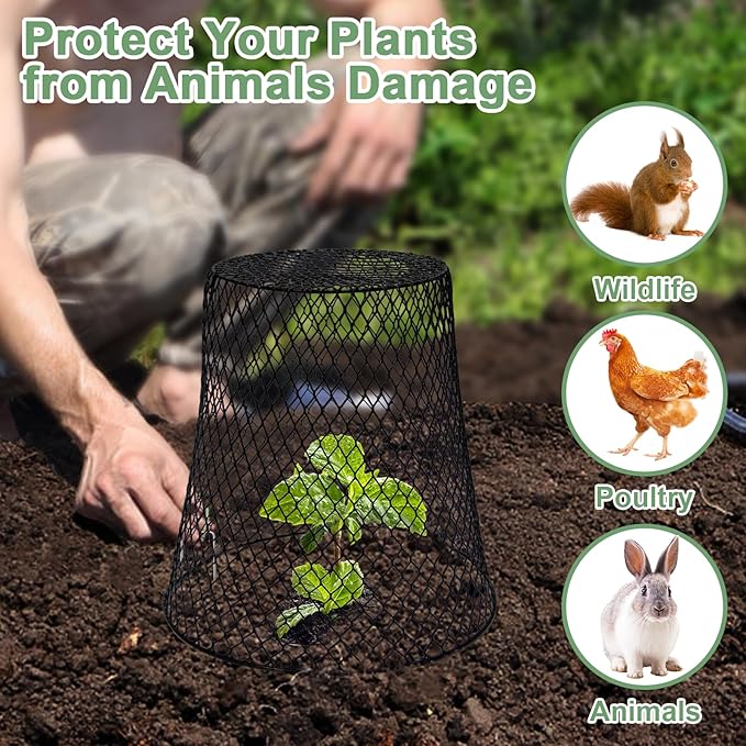 20 Pcs 9"×9" Chicken Wire Plant Protectors from Animals, Plant Cage Garden - Image 6