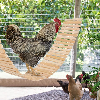 Jorewood Chicken Coop Toy Natural Wooden Chicken Swing & Bridge Toys - Image 5