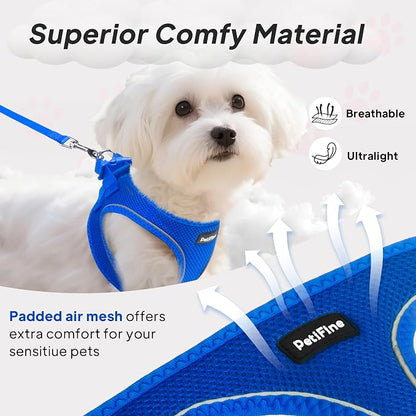 PetiFine Step in Small Dog Harness and Leash Set, Breathable All Weather Air - Image 2