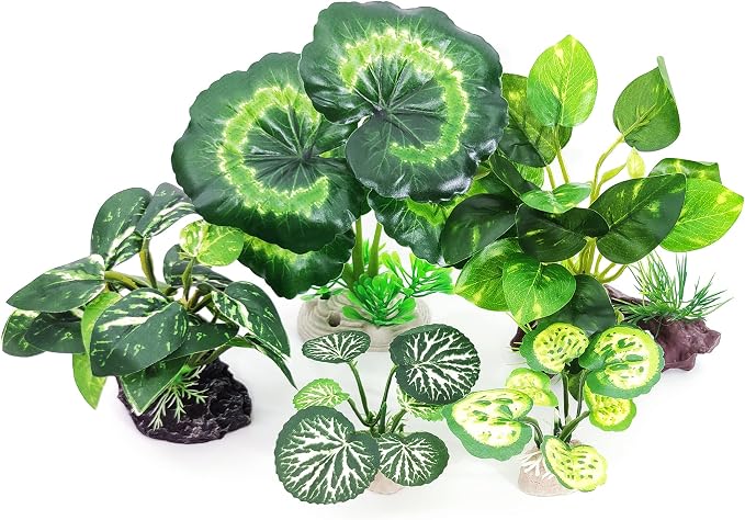 5Pack Tall Aquarium Plants - Image 7