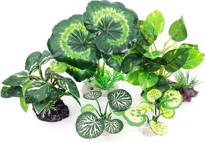 5Pack Tall Aquarium Plants - Image 7