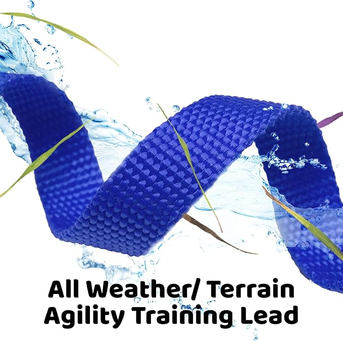 Long Dog Puppy Obedience Recall Training Agility Lead, Leash - Image 4