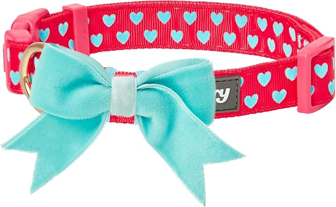 Blueberry Pet Valentines Day Dog Collar - Image 2