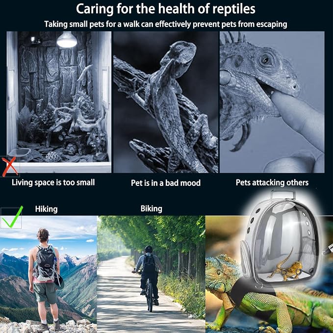 Bearded Dragon Carrier with Harness and Leash Set Large Small Animal Carrier - Image 6