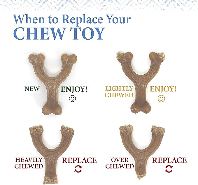 Nylabone Gourmet Style Femur & Wishbone Strong Chew Toy - Image 11