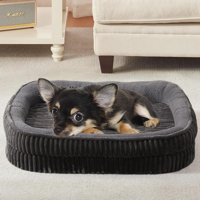 Orthopedic Dog Bed for Puppy, Extra Small Dogs Breeds, Oval Cat Bed, High by DEBANGHOME