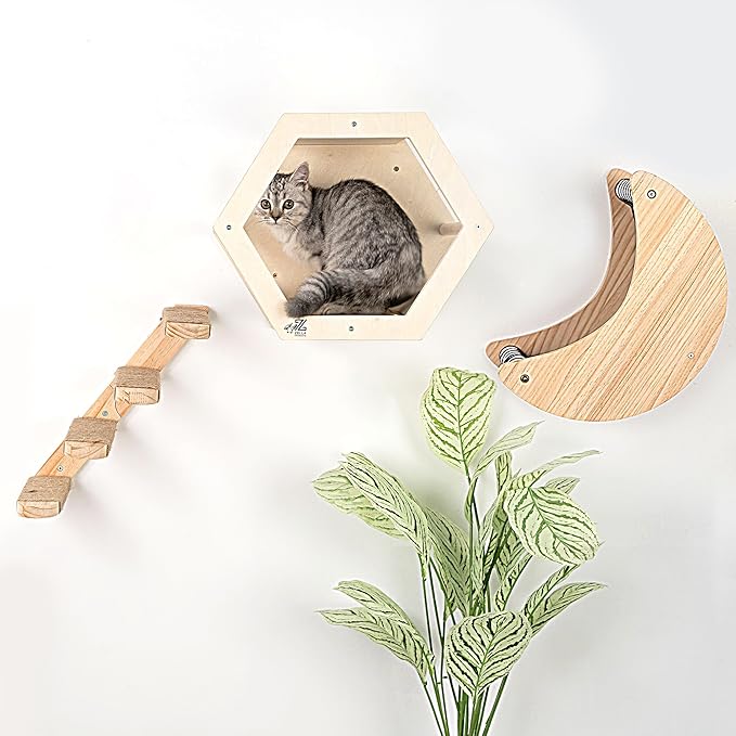 3-Piece Cat Wall Furniture Set by ZellaProducts