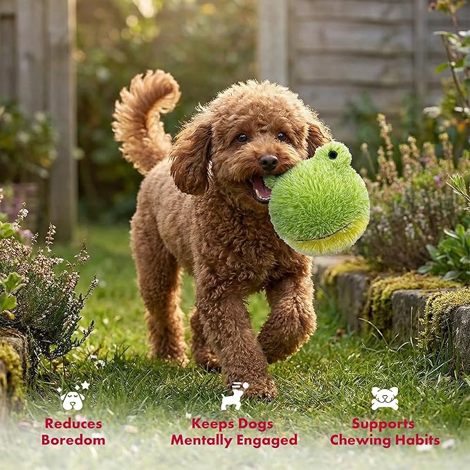 Pet Lou DOG'Z 4 Inch EZ Squeaky Frog Dog Plush Toy, Stuffing-Free Soft Plush Toy - Image 4