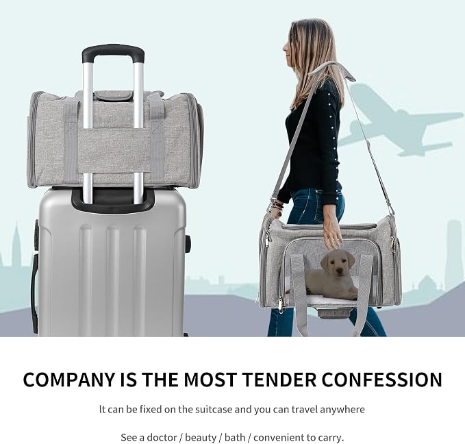 Mile High Life | Outdoor Travel Pet Carrier | Kitty Puppy Cat Carriers | - Image 7