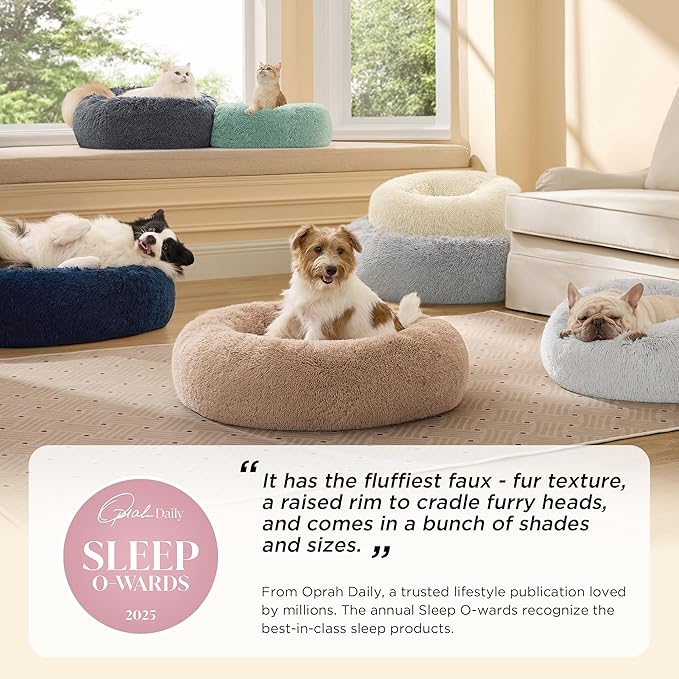 Bedsure Calming Cat Beds for Indoor Cats - Image 6