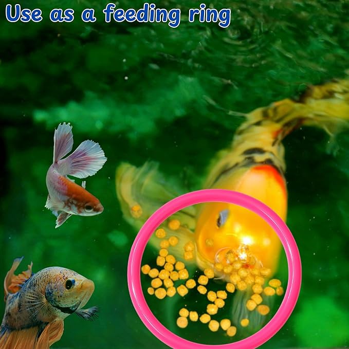 Betta Ring Enrichment Toys - Image 4