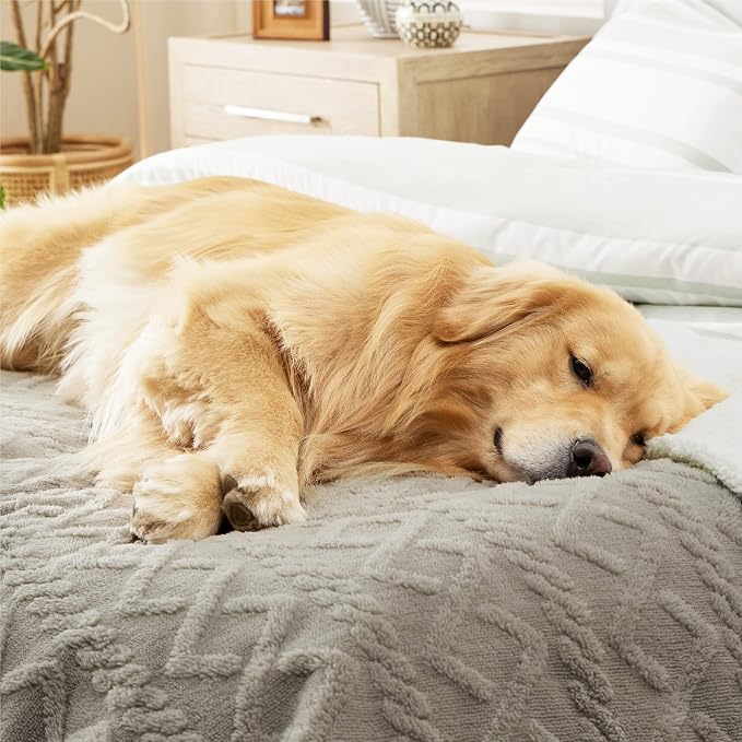 Bedsure Waterproof Dog Blanket for Large Dogs - Image 5