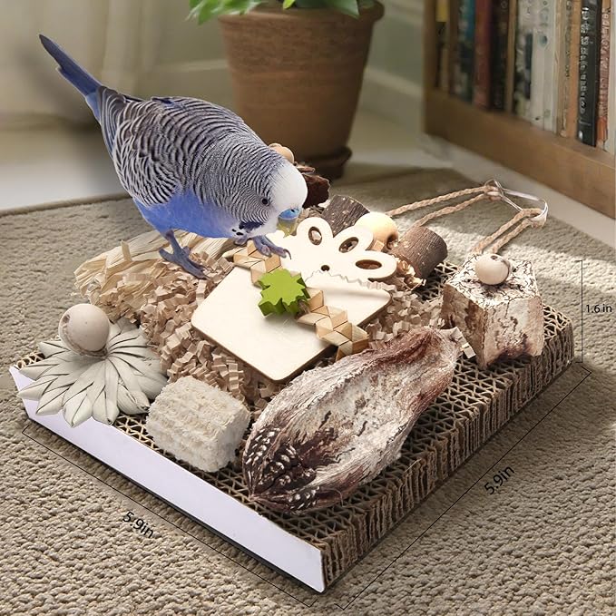 Kyouki Bird Toys, Parakeet Toys, Parrot Toy, Conure Hanging Chewable Cardboard - Image 5