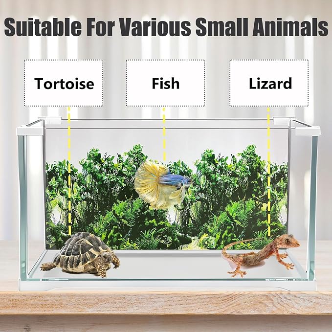 Fish Tank Background Sea Anemone Coral Theme Aquarium Background Poster Fish - Image 3