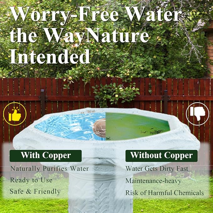 Copper Bird Bath Disks, 4.2" Large Surface, Year-Round Water Cleanliness - Image 4