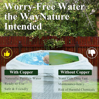 Copper Bird Bath Disks, 4.2" Large Surface, Year-Round Water Cleanliness - Image 4