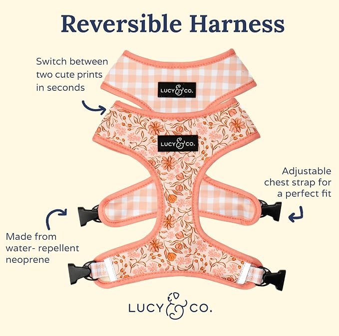 Lucy & Co. Cute Reversible Dog Harness Walking Halter - Image 3