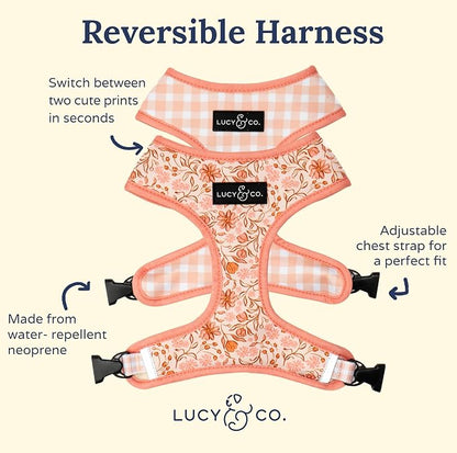 Lucy & Co. Cute Reversible Dog Harness Walking Halter - Image 3