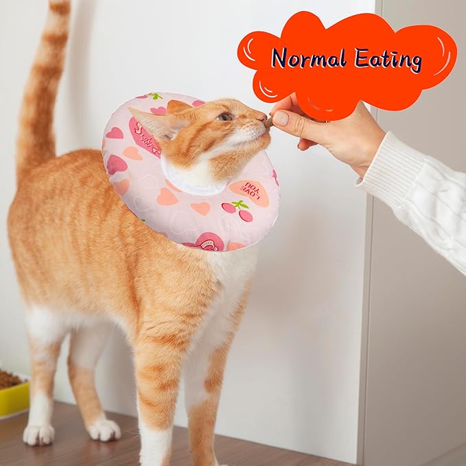 Cat Cone Soft Collar, Adjustable Cat Recovery Collar - Image 4