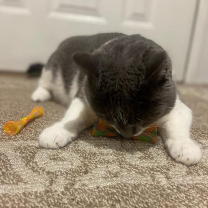 SPOT Kitty Fun Tubes Cat Toy | Bouncy Cat Toy - Image 10