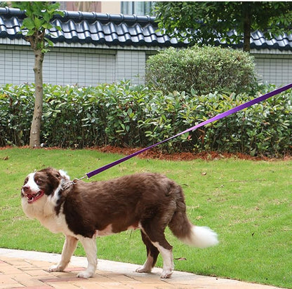 AMAGOOD Dog/Puppy Obedience Recall Training Agility Lead-15 ft 20 ft 30 ft 50 - Image 3