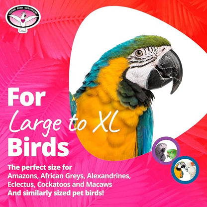 Super Bird Creations - Image 3
