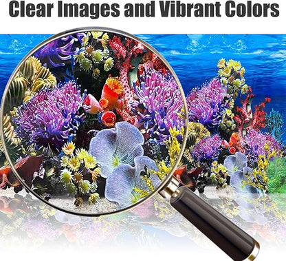Fish Backgrounds Paper Double Sides Undersea Aquarium Background Poster - Image 3
