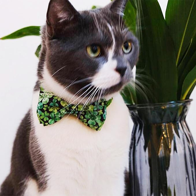2 Pack St. Patrick's Day Irish Cat Collar - Image 4