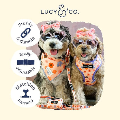 Lucy & Co. Let's Groove Dog Collar - Image 3