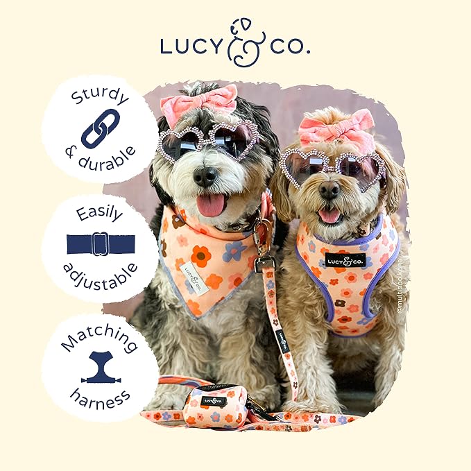 Lucy & Co. Let's Groove Adjustable Dog Collar- Cute Designer Pet Collar - Image 3
